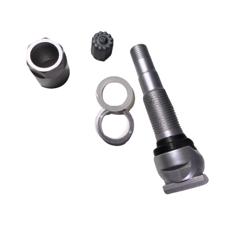 tpms-21-21.jpg