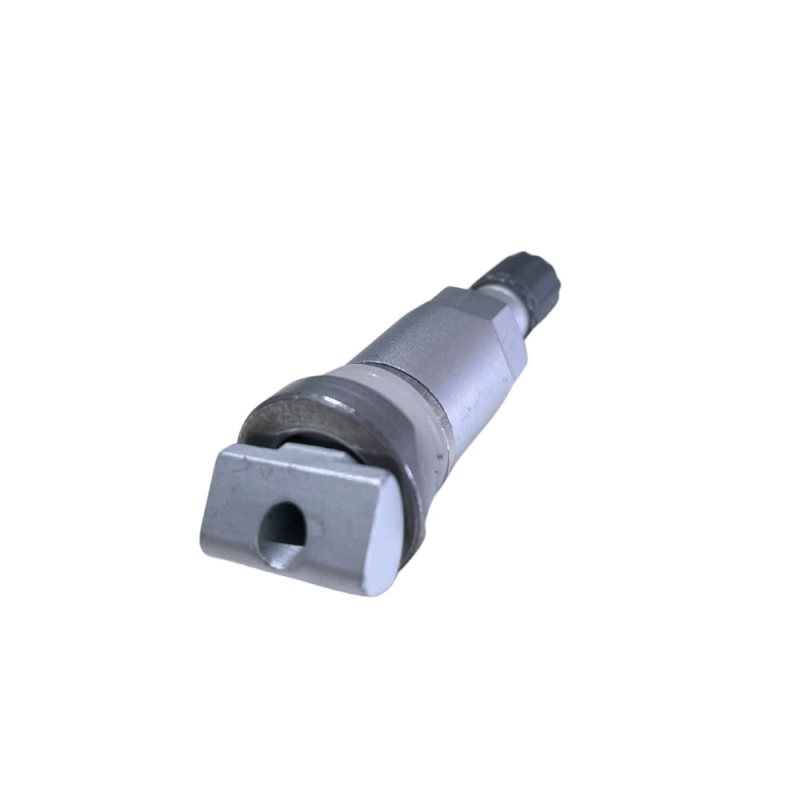 tpms17-wx.jpg