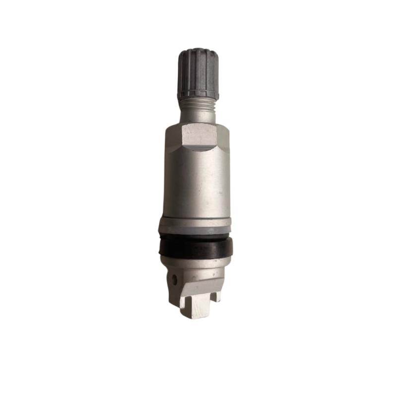 tpms29-wx.jpg