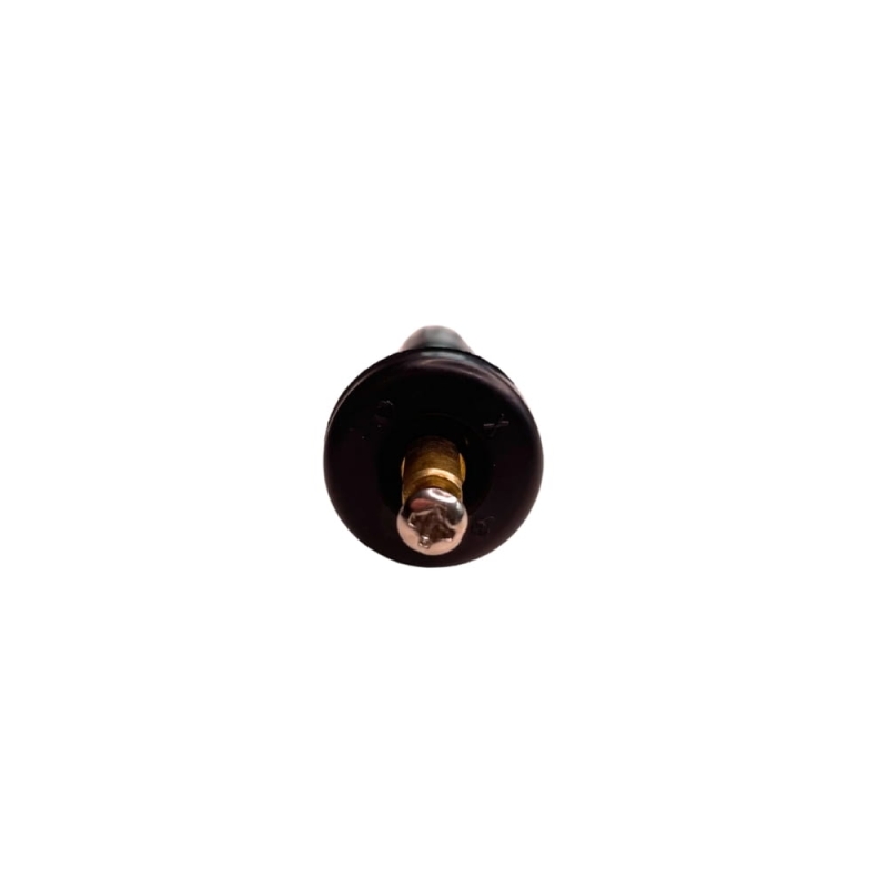 tpms01-wx.jpg