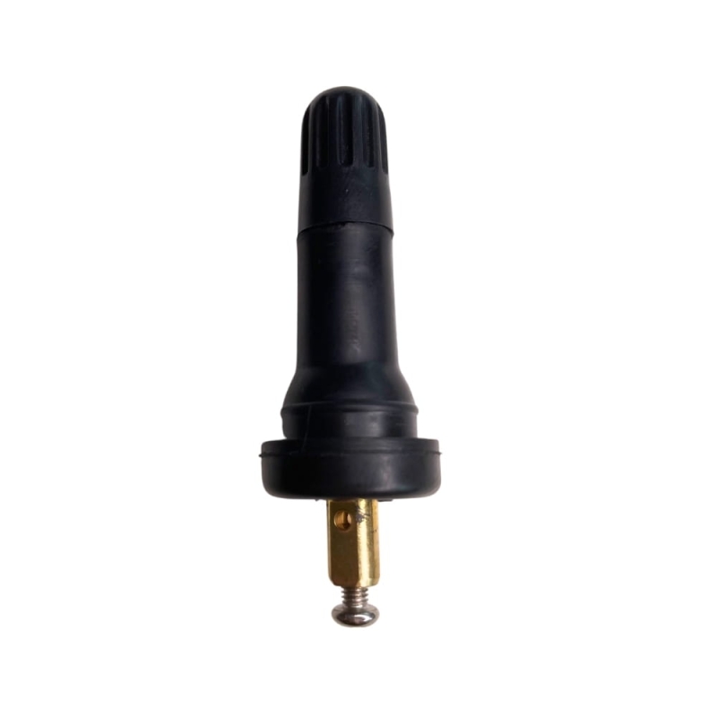 tpms01.jpg