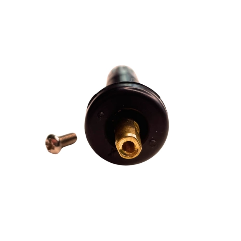 tpms-01-wx.jpg