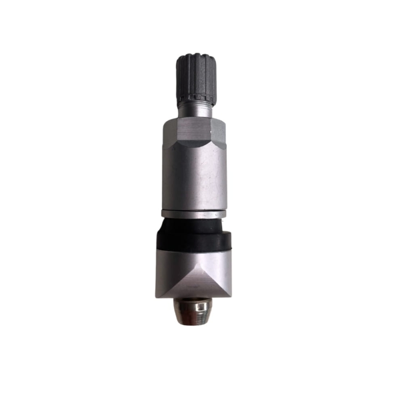 tpms-26-wx.jpg