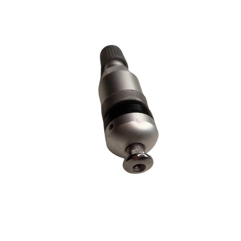 tpms-25.jpg