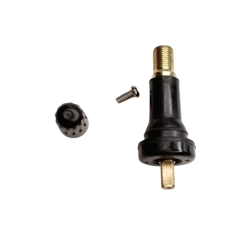tpms-03.jpg