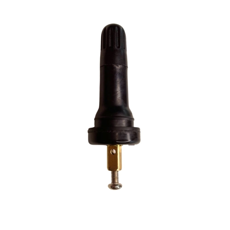 tpms03-wx.jpg