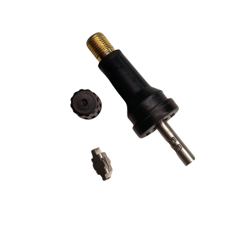 tpms37.jpg