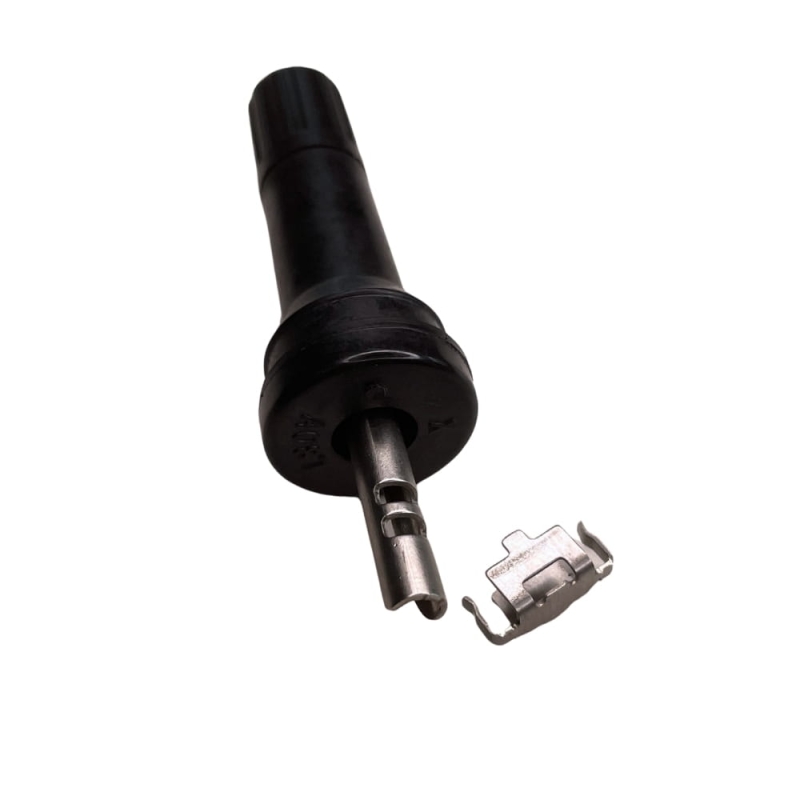 tpms37-wx.jpg