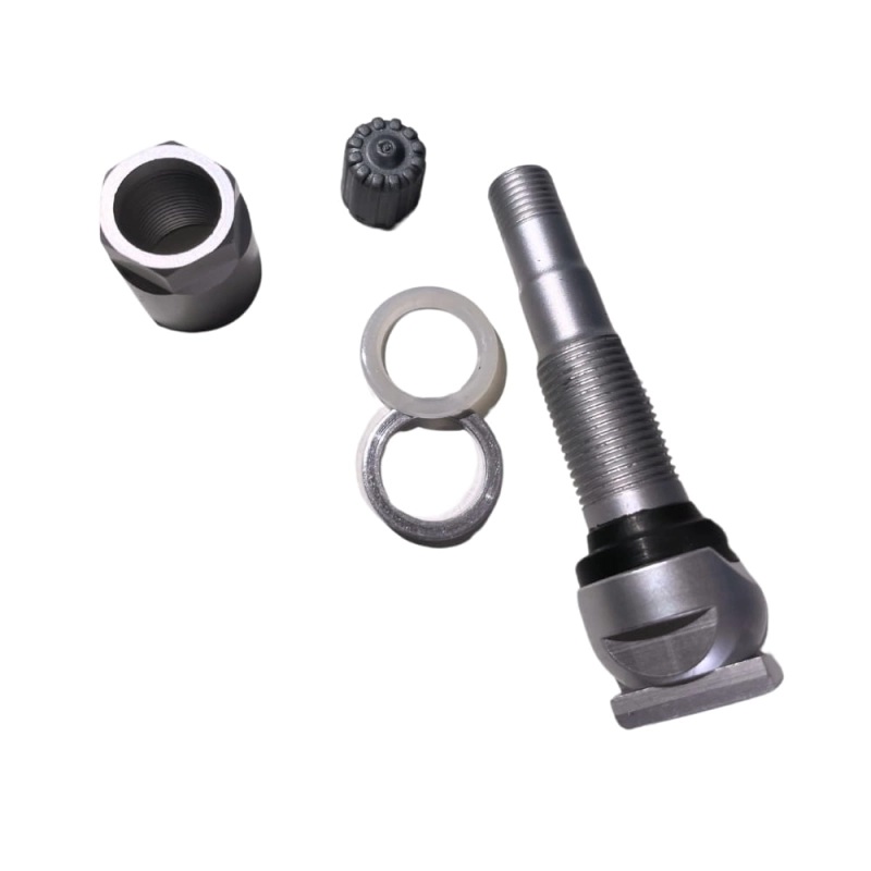 tpms-21-21.jpg