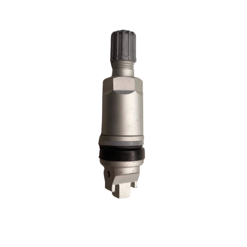 tpms29-wx.jpg