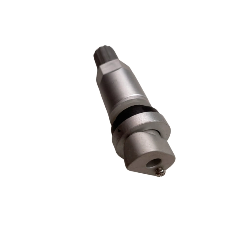 tpms-15.jpg
